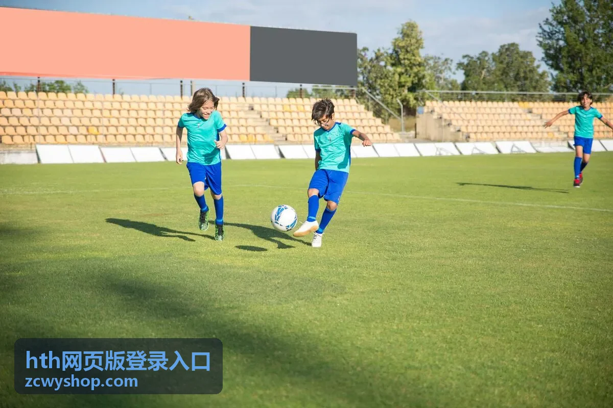 hth网页版登录入口验证码接收异常排查场景