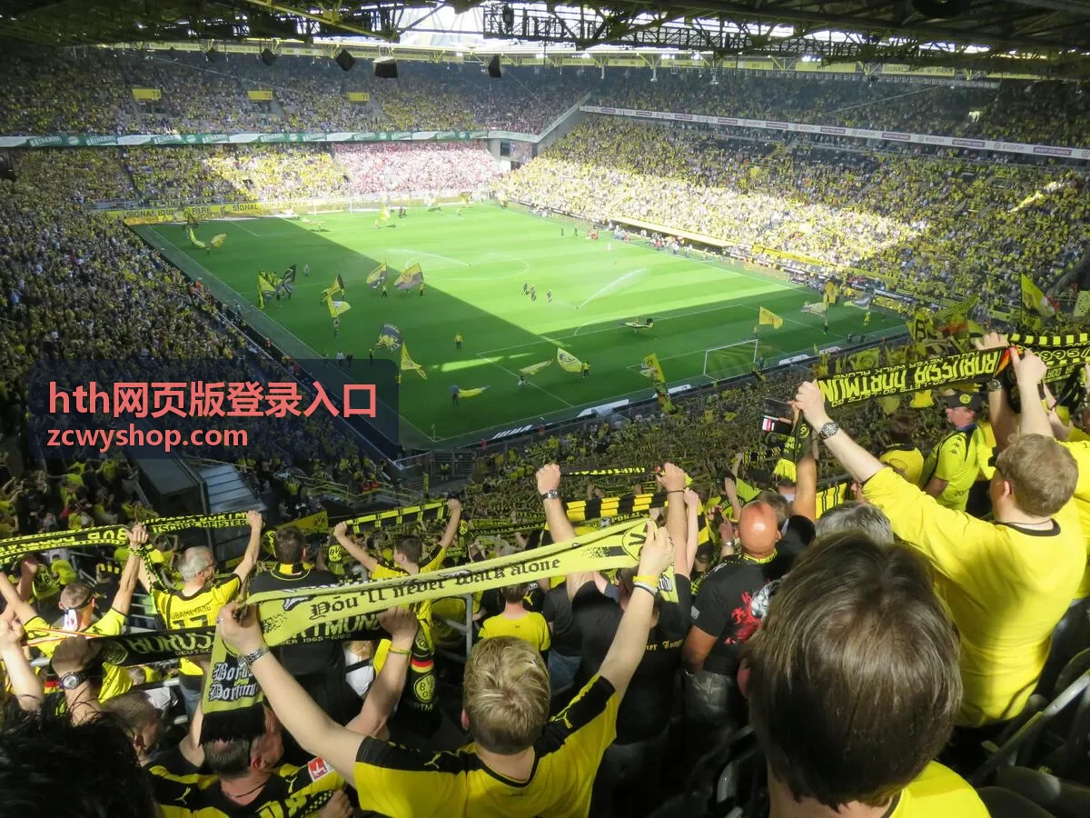 hth网页版登录入口登录状态异常恢复场景